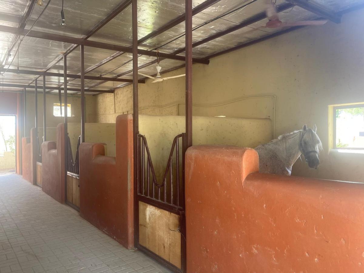 Al Bait Resort With Private Swimming Pools -Hrs Stables Al Hamraniyah Luaran gambar