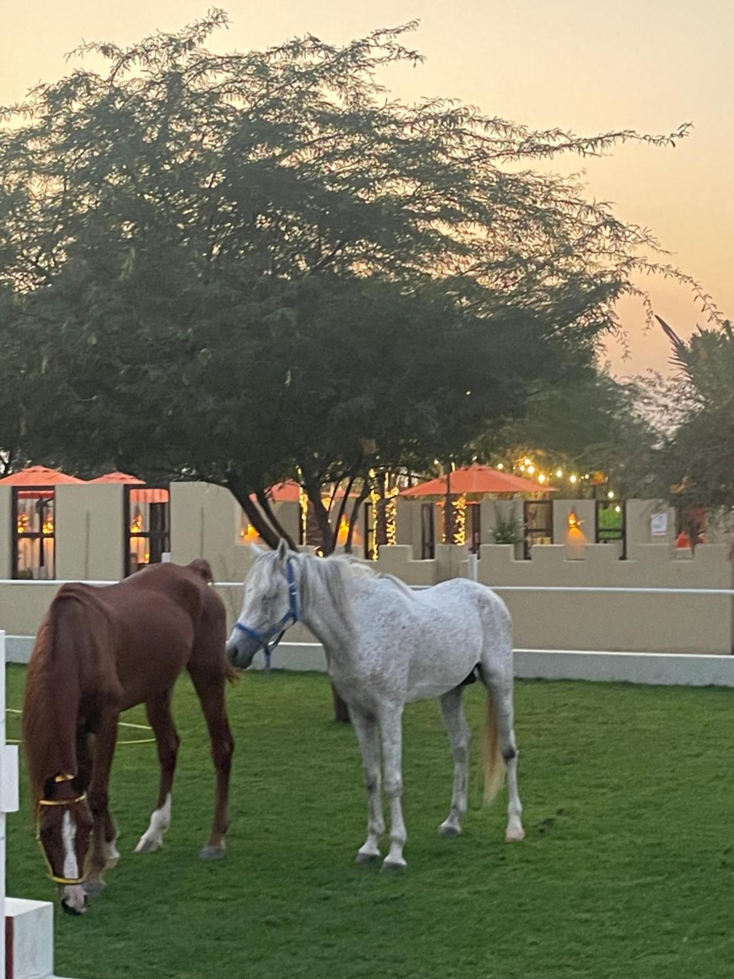 Al Bait Resort With Private Swimming Pools -Hrs Stables Al Hamraniyah Luaran gambar